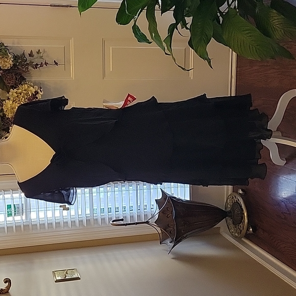 Dani Max Dresses & Skirts - Dani Max black tiered dress sheer cap ruffle sleeve Fabric rose Vneck sz 18 New…